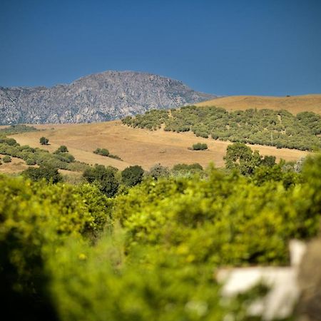 Finca Los Pajaros San Pablo Eksteriør billede